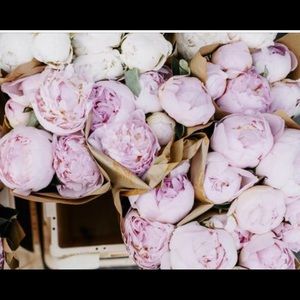 Meet your Posher, Molly